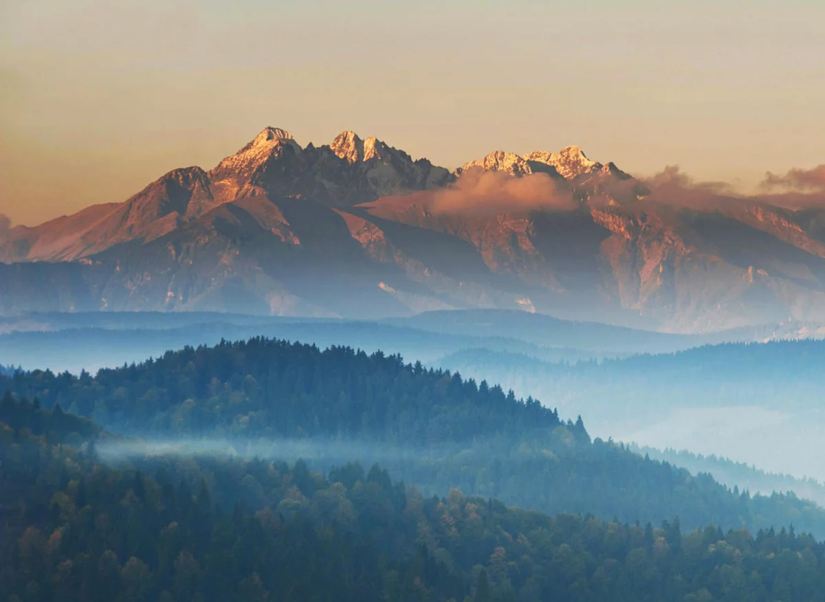 Portal medyczny? Jak ekspert!
