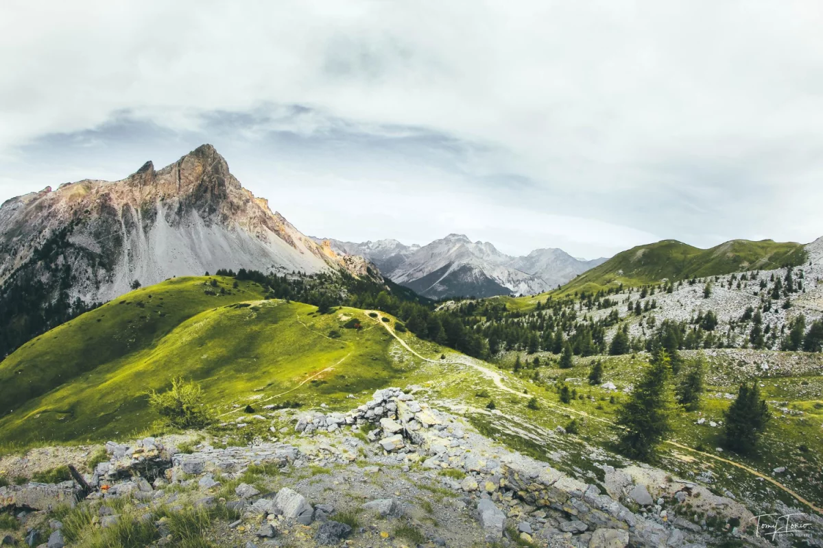 Nowe metody w 2020 jak lepiej  znaleźć psychologa